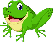 Cartoon Cute Frog Of Illustration
