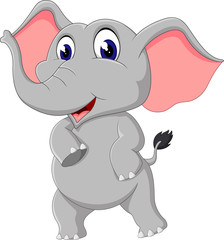 Poster - cute elephant cartoon of illustration