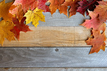 Autumn Maple Leaves Framing Rustic Wood Background