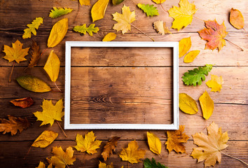 Wall Mural - autumn leaf composition.