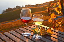Wine Against Vineyards In Lavaux, Switzerland
