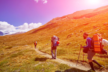 Wall Mural - hikers in the mountains