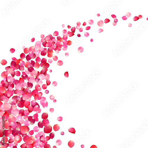 Fototapeta na wymiar white background with pink rose petals vortex