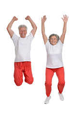 Poster - Senior couple exercising 