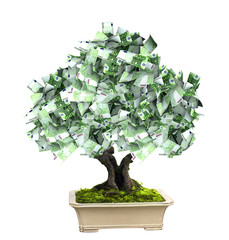 Wall Mural - Money tree with euro banknotes