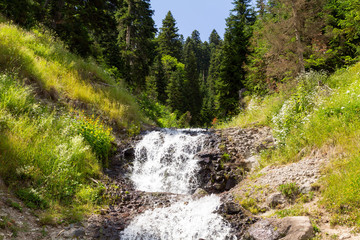 Wall Mural - Waterfall in the mountains of the Caucasus