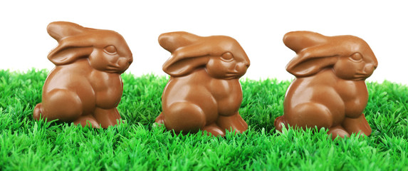 Wall Mural - Chocolate Easter bunnies on green grass, on white background