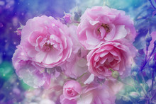 Beautiful Roses Artistic Dreamy Background With Bokeh Lights