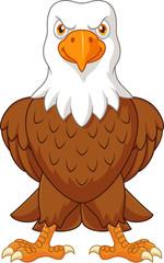 Sticker - Cartoon bald eagle posing isolated on white background