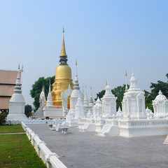 golden pagoda in wat suan dok temple, chiang mai, thailand