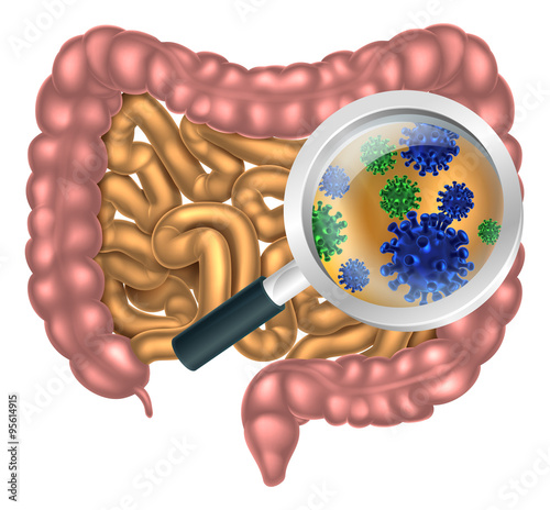 Valokuva  Magnifying Glass Gut Flora