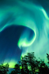Wall Mural - Northern lights (Aurora borealis) in the sky
