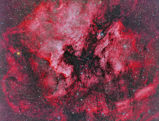 Wall Mural - ngc 7000 north america nebula imaged with a telescope and a scientific ccd camera