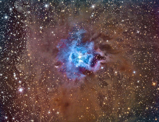 Wall Mural - ngc 7023 iris nebula imaged with a telescope and a scientific ccd camera