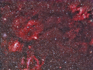 Wall Mural - sh2-255 cave nebula imaged with a telescope and a scientific ccd camera