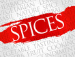 © dizain - Spices word cloud, health concept
