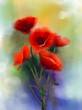 Watercolor red poppy flowers painting. Flower paint in soft color and blur style, Soft green and purple-blue background. Spring floral seasonal nature background