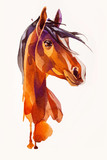 Fototapeta Konie - drawing head of the horse
