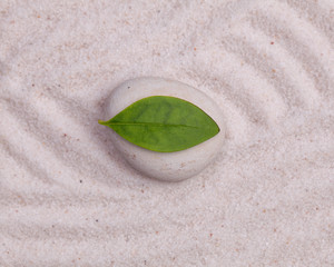 Wall Mural - Close up of white stone and green  leaf  in the white sand