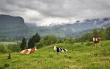 Mountain near Zasip village. Slovenia  
