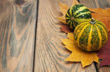 Wall Mural - autumn pumpkins