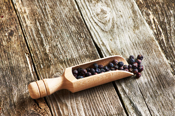 Canvas Print - Scoop with dried juniper berries