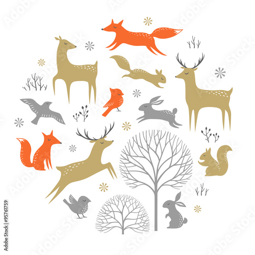 Fotografie, Obraz Set of winter woodland elements for Christmas design