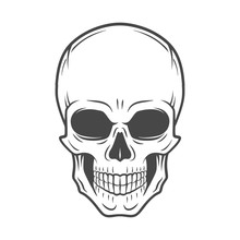Human Evil Skull Vector. Jolly Roger Logo Template. Death T-shirt Design. Pirate Insignia Concept. Poison Icon Illustration