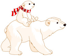 Polar Bear Mom And Baby