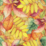 Fototapeta Konie - Seamless pattern with colorful autumn leaves. Original hand drawn bright colors watercolor background.
