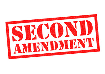 SECOND AMENDMENT