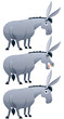 Donkey / Cartoon donkey over white background in 3 versions.