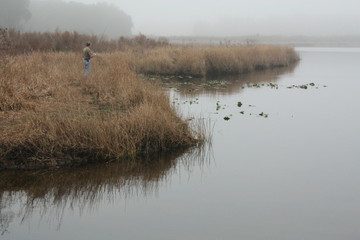 Poster - a foggy lake