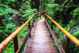 Fototapeta Perspektywa 3d - footbridge