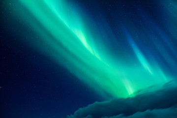 Wall Mural - beautiful northern light