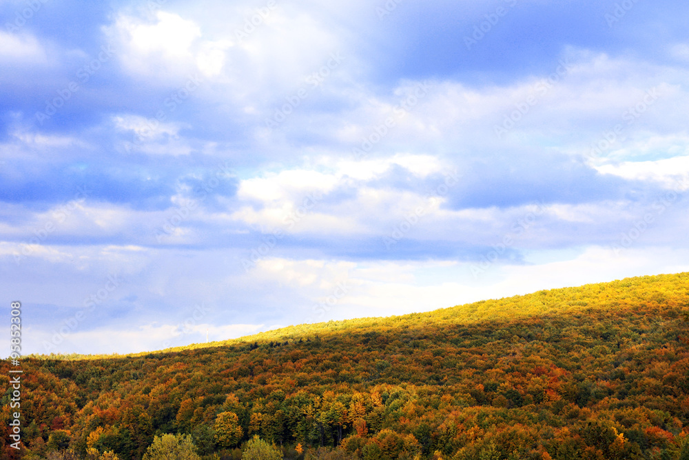 Landscape of autumn forest and sky