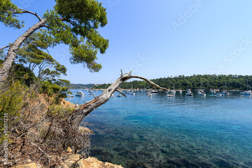 Baie De Port Man Parc National De Port Cros Buy This Stock Photo And Explore Similar Images At Adobe Stock Adobe Stock