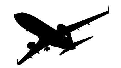 Wall Mural - Passenger airplane silhouette