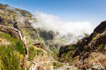 Wall Mural - Mountains in clouds landscape