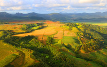 Aerial View To Rural Landscape With Sugar Cane Fields On Mauritius Island.