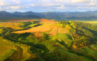 aerial view to rural landscape with sugar cane fields on mauritius island.
