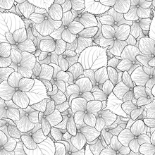 Beautiful Seamless Background With Monochrome, Black And White Flowers.