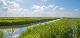 Fototapeta Na ścianę - Canal through a rural landscape in summer
