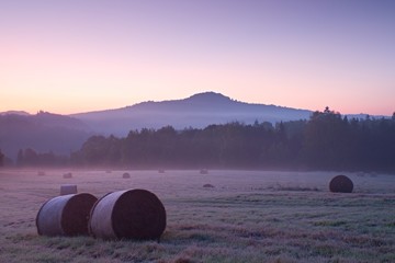 Wall Mural - Early foggy morning at meadows. Daybreak at horizon.  Ground frost covered grass withgrey  hoarfrost