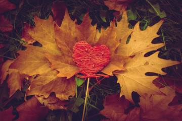 Wall Mural - valentine heart background