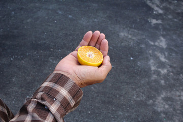 Canvas Print - Oranges fruits on hand