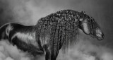 Fototapeta Konie - Portrait of black Frisian horse with long mane  in the smoke