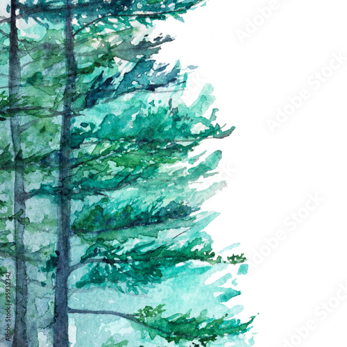 winter-wood-forest-pine-landscape