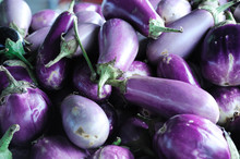 Piles Of Fresh Eggplant