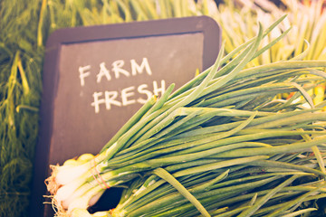 Wall Mural - Fresh produce